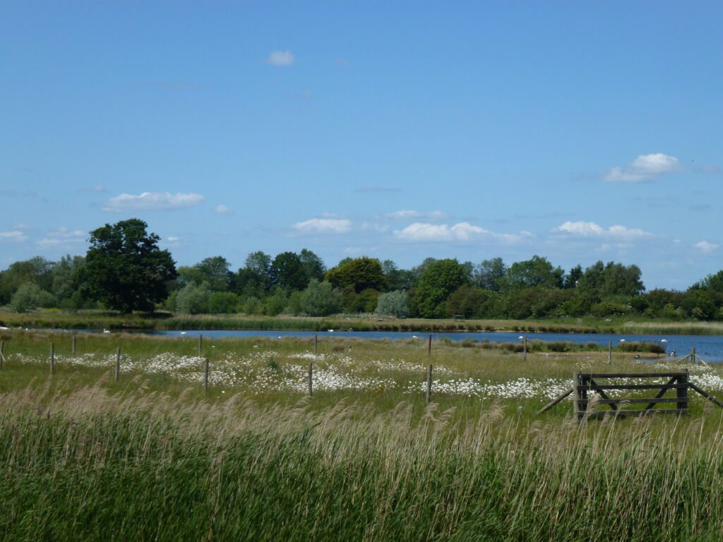 Deeping Lakes Nature Reserve, Deeping St James