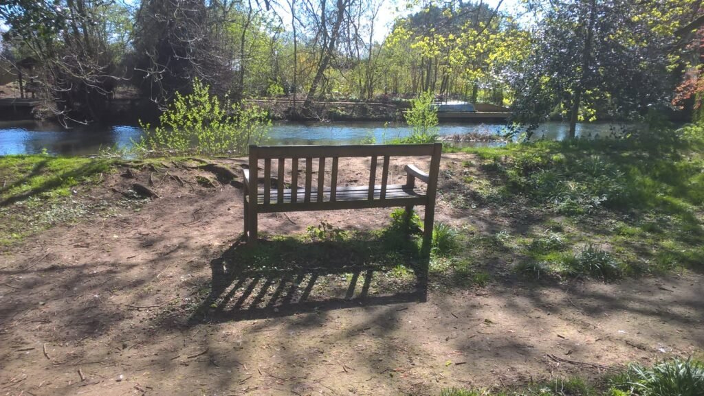 A bench on the bank of the River Welland